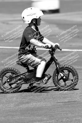 media/Sep-25-2023-Moto Forza (Mon) [[81ffa65e0a]]/Around the Pits/